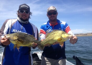 Comp Report: Lake Windamere Golden Classic